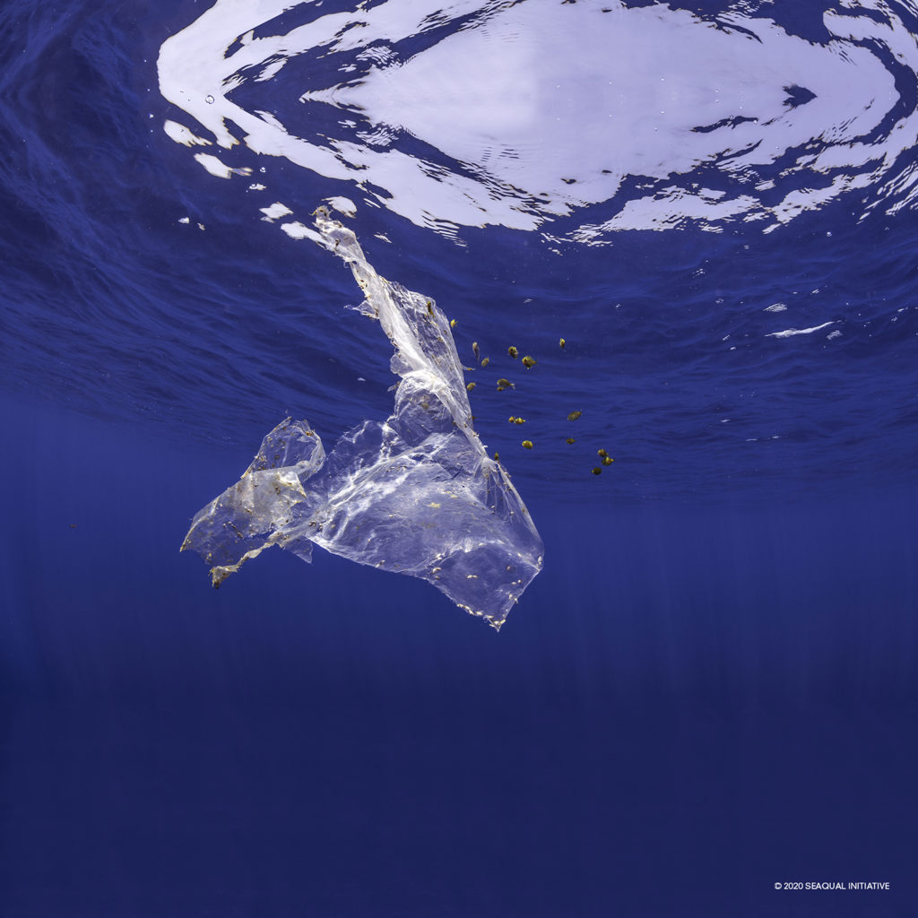 Piece of plastic floating in the open ocean which has been opportunistically colonized by some nudibranchs and molluscks as well as providing shelter to a school of tropical fish which are feeding on algae attached to it, Indian Ocean, Sri Lanka.
